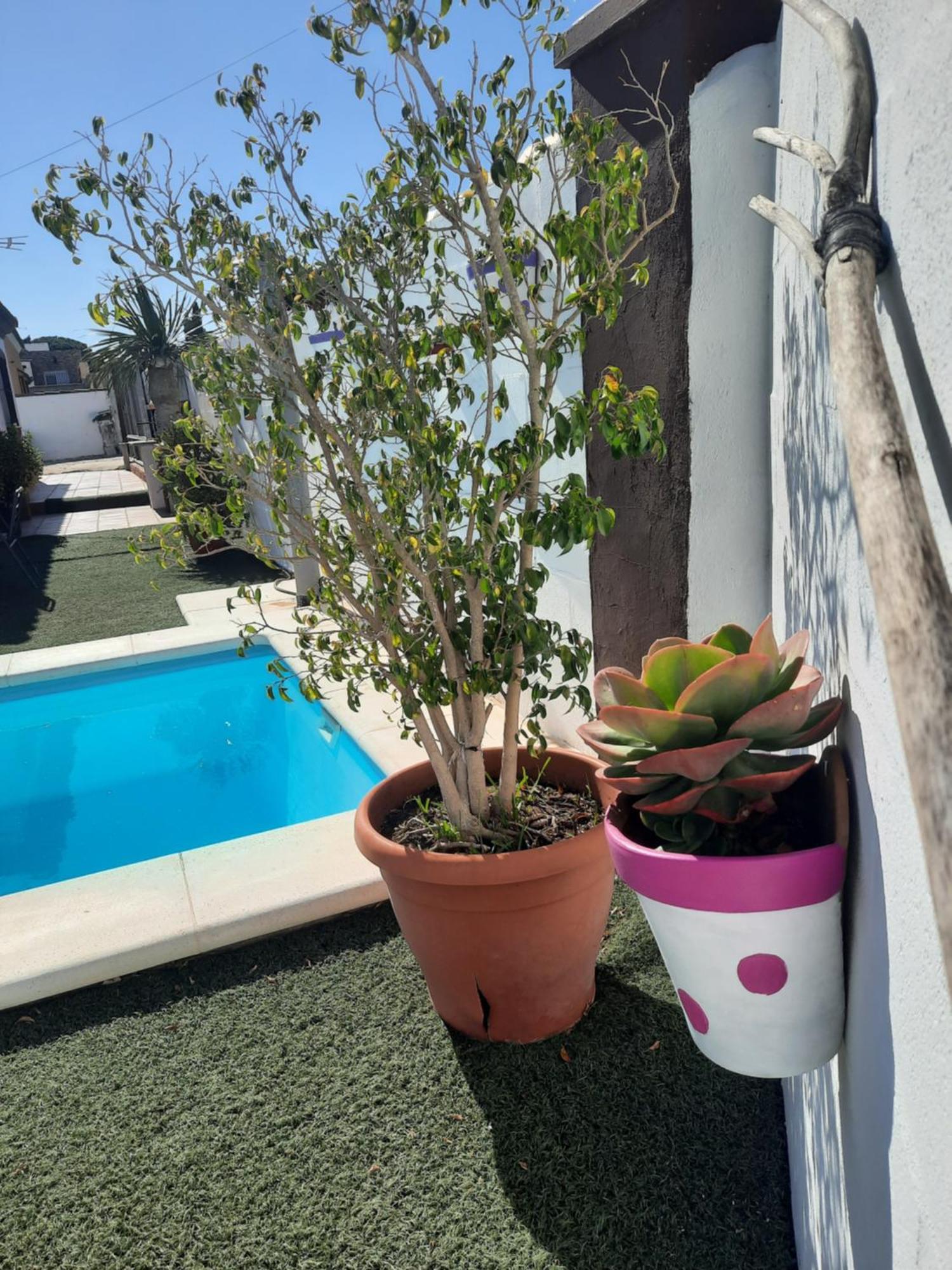 Casa La Pepa Βίλα Chiclana de la Frontera Εξωτερικό φωτογραφία